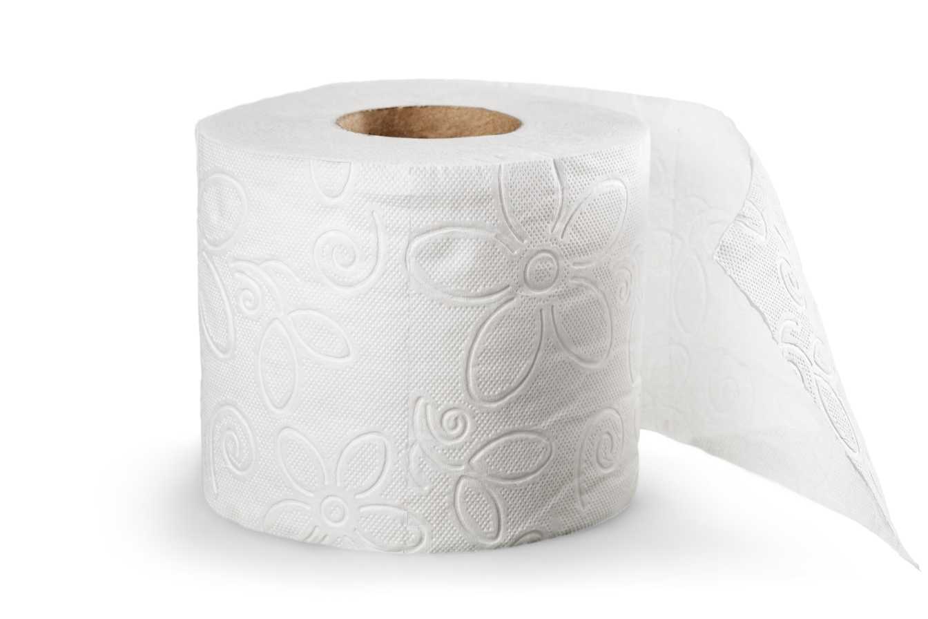 vers-toilette-comment-identifier-eliminer-et-prevenir-ces-nuisibles-chez-soi-3